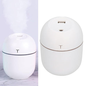 Mini Humidifier, USB Charging Humidifier Portable with LED Light for Office for Bedroom for Gift for Home for Car for Travel